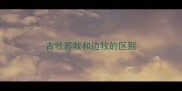 古牧苏牧和边牧的区别