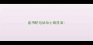 能用肥皂给哈士奇洗澡