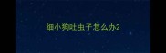 细小狗吐虫子怎么办
