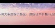 金毛寻回犬带血统价格全血统证书价值与选购指南