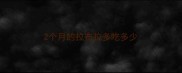 2个月的拉布拉多吃多少