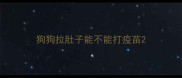 狗狗拉肚子能不能打疫苗