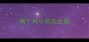 俩个月小狗抱大腿