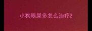 小狗眼屎多怎么治疗