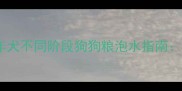 幼犬成犬老年犬不同阶段狗狗粮泡水指南科学喂养全