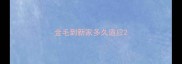 金毛到新家多久适应