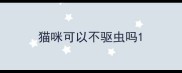 猫咪可以不驱虫吗