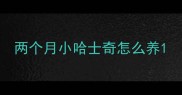 两个月小哈士奇怎么养