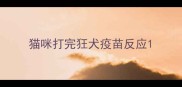 猫咪打完狂犬疫苗反应