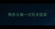 狗多久做一次狂犬疫苗