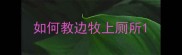 如何教边牧上厕所