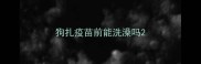 狗扎疫苗前能洗澡吗
