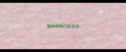 猫咪眼睛凸起浑浊