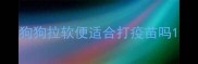 狗狗拉软便适合打疫苗吗