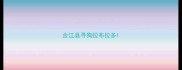 合江县寻狗拉布拉多