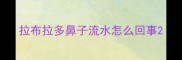 拉布拉多鼻子流水怎么回事