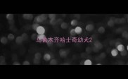 乌鲁木齐哈士奇幼犬