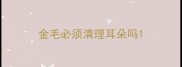 金毛必须清理耳朵吗