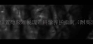 金毛犬睾丸位置隐蔽难发现科学养护指南附高清解剖图
