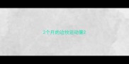 2个月的边牧运动量