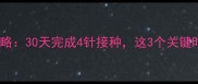 猫咪小金疫苗全攻略30天完成4针接种这3个关键时间点必须掌握