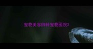 宠物美容师转宠物医院