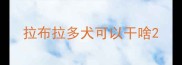 拉布拉多犬可以干啥