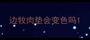 边牧肉垫会变色吗