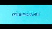 成都宠物检疫证明