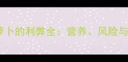 拉布拉多吃胡萝卜的利弊全营养风险与科学喂养指南