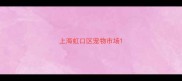 上海虹口区宠物市场