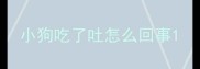 小狗吃了吐怎么回事