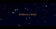 鸳鸯眼的哈士奇壁纸