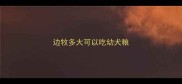 边牧多大可以吃幼犬粮