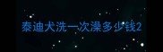 泰迪犬洗一次澡多少钱