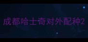 成都哈士奇对外配种