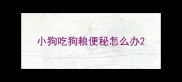 小狗吃狗粮便秘怎么办