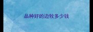 品种好的边牧多少钱