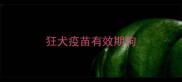 狂犬疫苗有效期狗