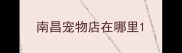 南昌宠物店在哪里