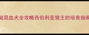 哈士奇藏獒混血犬全攻略西伯利亚狼王的培育指南新手必看