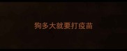 狗多大就要打疫苗