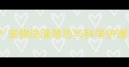 未接种疫苗的宠物能洗澡吗宠物洗澡禁忌与科学护理指南附疫苗接种时间表