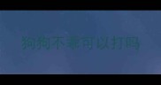 狗狗不乖可以打吗