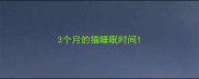 3个月的猫睡眠时间
