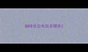 咖啡色拉布拉多喂养