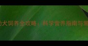 哈士奇幼犬饲养全攻略科学营养指南与常见误区