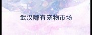 武汉哪有宠物市场