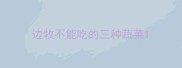 边牧不能吃的三种蔬菜