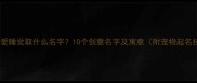 哈士奇爱睡觉取什么名字10个创意名字及寓意附宠物起名技巧